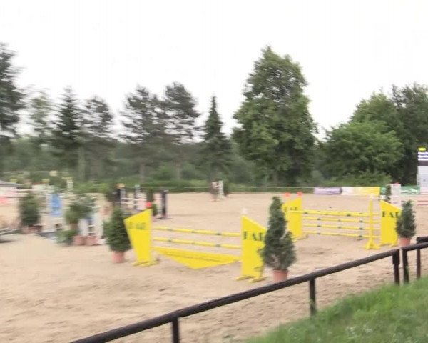Düsseldorfer Reitertage 2015