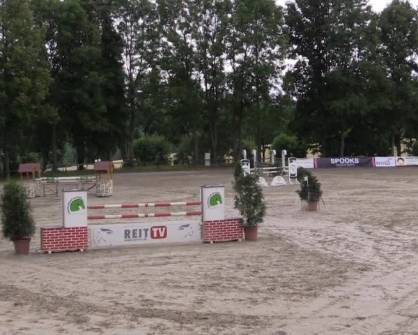 Düsseldorfer Reitertage 2015