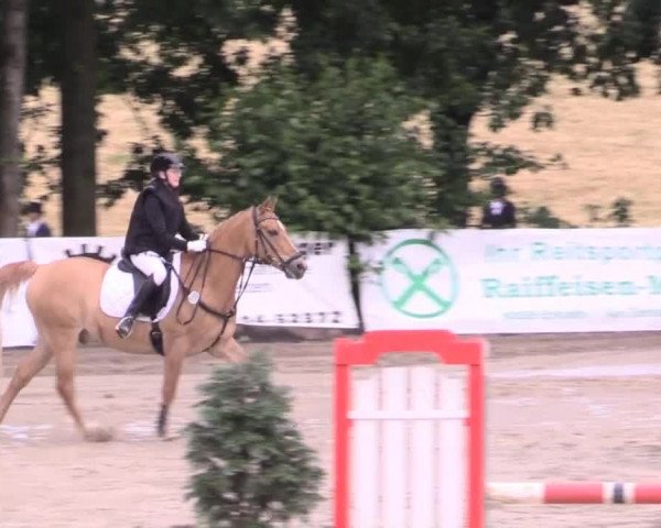 Düsseldorfer Reitertage 2015