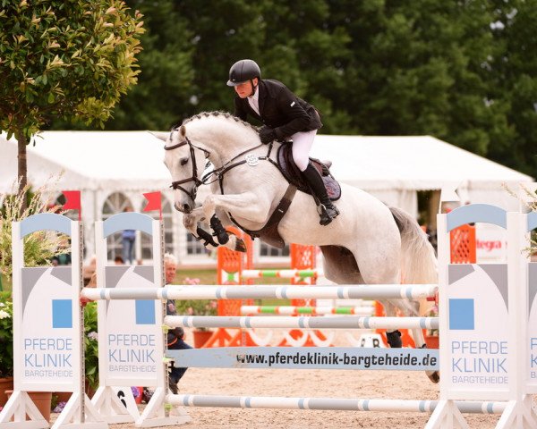 jumper Florina 163 (Holsteiner, 2013, from Zirocco Blue)