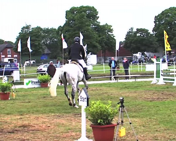 Nord-Ost-Pferd 2015