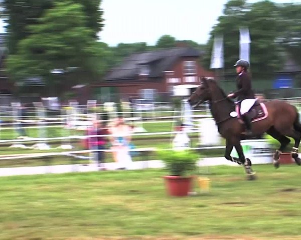 Nord-Ost-Pferd 2015