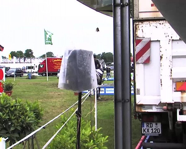 Nord-Ost-Pferd 2015