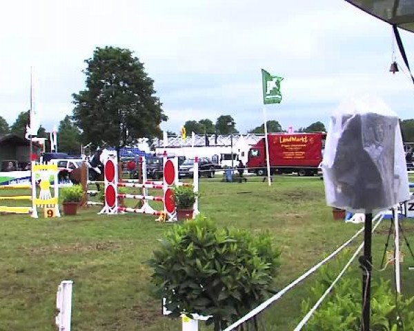 Nord-Ost-Pferd 2015
