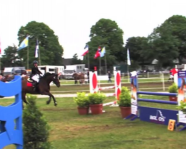 Nord-Ost-Pferd 2015