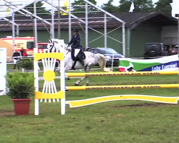 Nord-Ost-Pferd 2015
