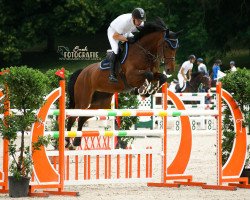 jumper Gimona (KWPN (Royal Dutch Sporthorse), 2011, from van Gogh)
