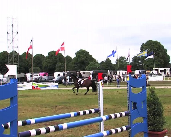 Nord-Ost-Pferd 2015