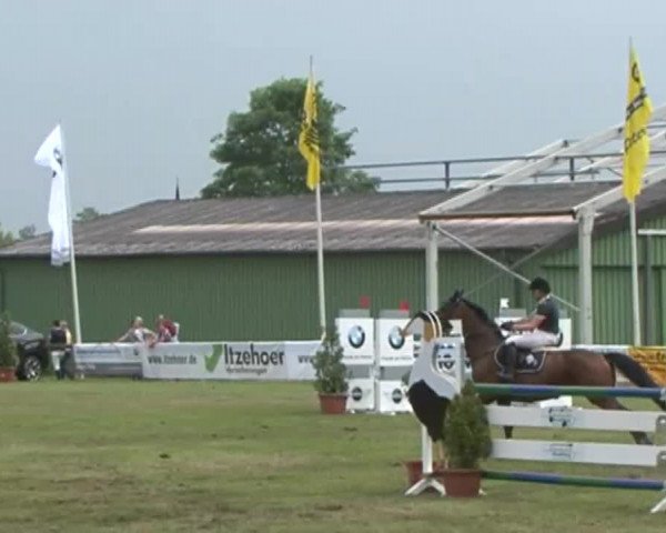 Nord-Ost-Pferd 2015