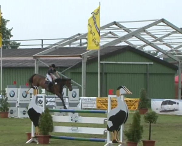 Nord-Ost-Pferd 2015