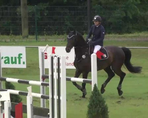 Sommerturnier Legelshurst 2015