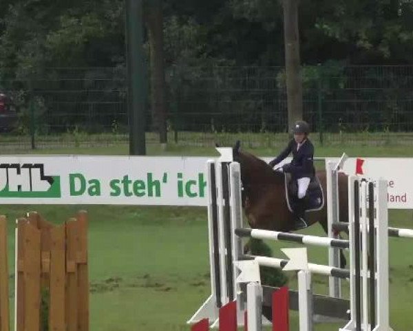Sommerturnier Legelshurst 2015