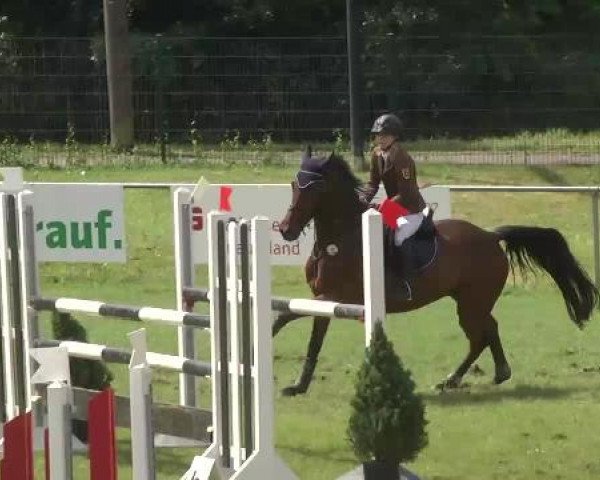 Sommerturnier Legelshurst 2015