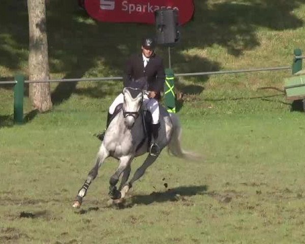 Sommerturnier Legelshurst 2015
