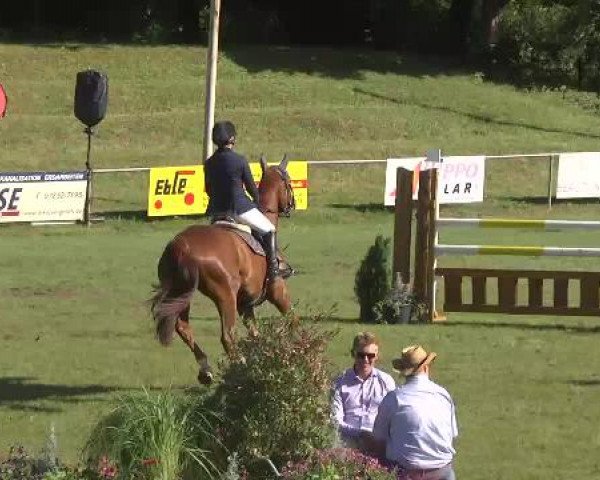 Sommerturnier Legelshurst 2015