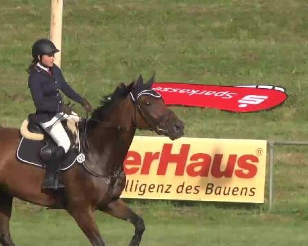 Sommerturnier Legelshurst 2015