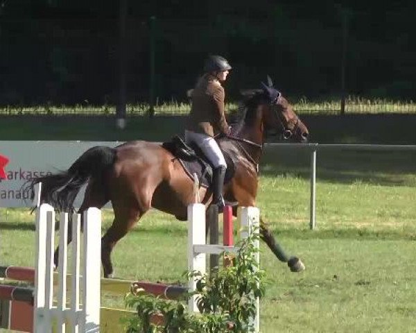 Sommerturnier Legelshurst 2015