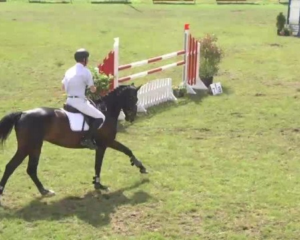 Sommerturnier Legelshurst 2015