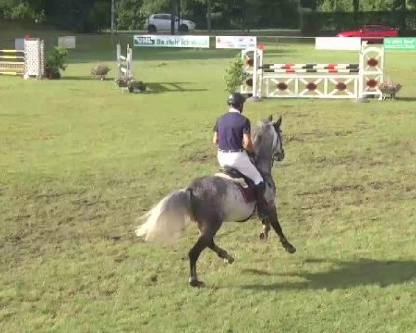 Sommerturnier Legelshurst 2015