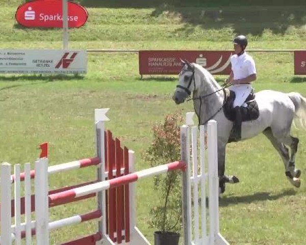 Sommerturnier Legelshurst 2015