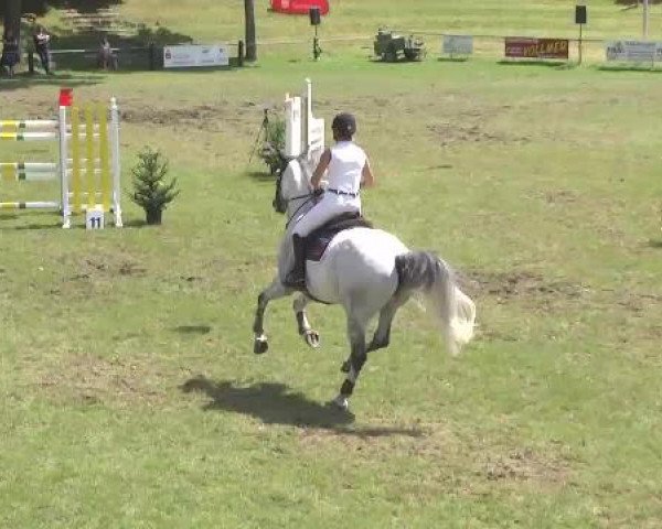Sommerturnier Legelshurst 2015