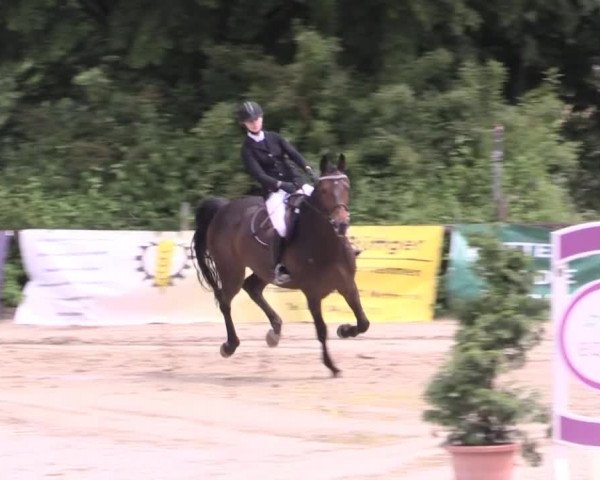Düsseldorfer Reitertage 2015
