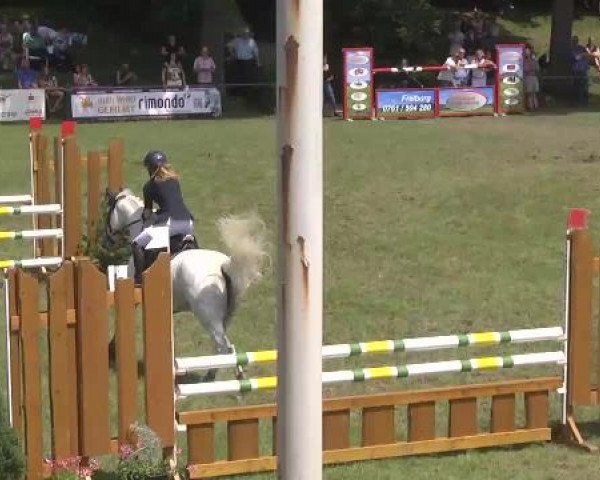 Sommerturnier Legelshurst 2015