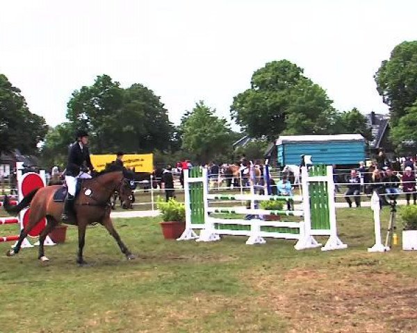 Nord-Ost-Pferd 2015