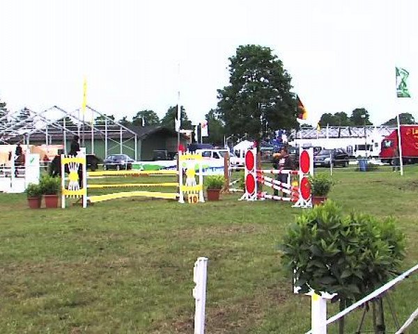 Nord-Ost-Pferd 2015