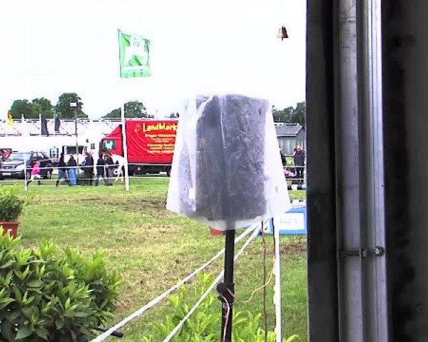 Nord-Ost-Pferd 2015