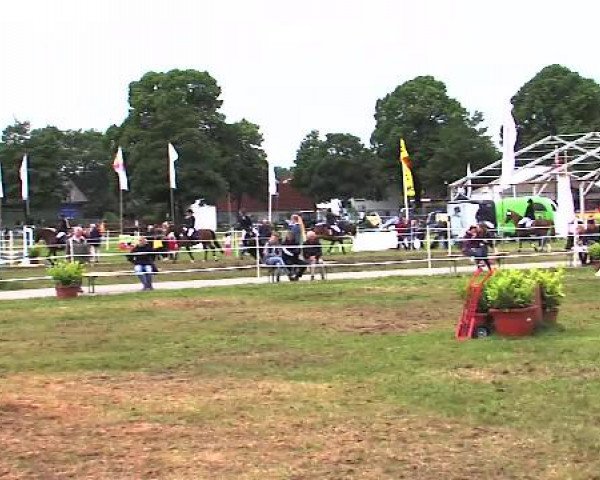 Nord-Ost-Pferd 2015