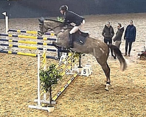 jumper Catalea de Luz (Mecklenburg, 2014, from Corrington)