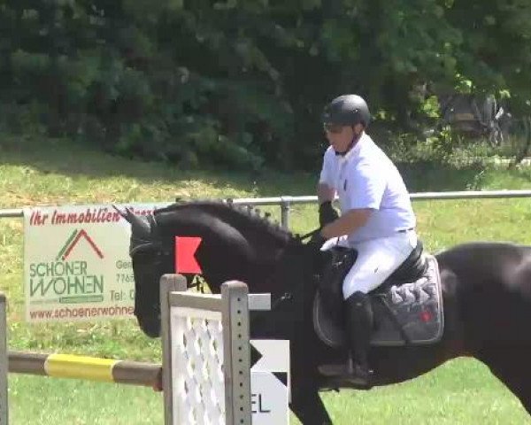 Sommerturnier Legelshurst 2015