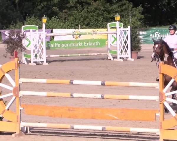 Düsseldorfer Reitertage 2015
