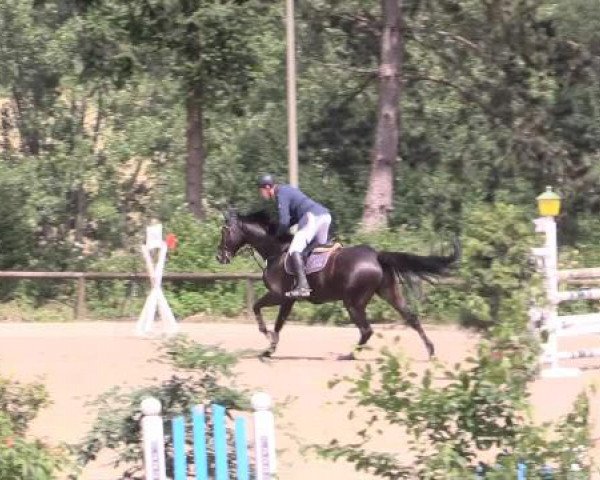 Düsseldorfer Reitertage 2015