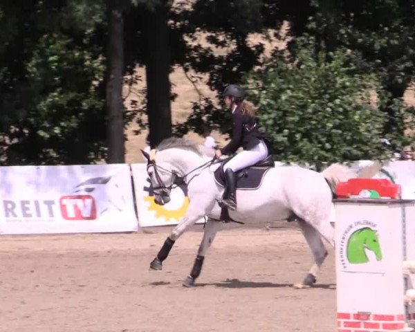 Düsseldorfer Reitertage 2015
