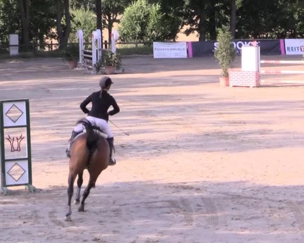 Düsseldorfer Reitertage 2015