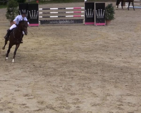Düsseldorfer Reitertage 2015