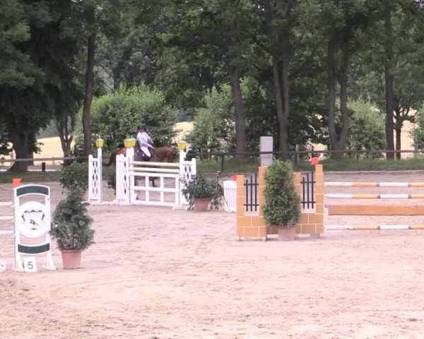 Düsseldorfer Reitertage 2015