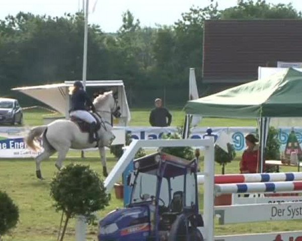 Nord-Ost-Pferd 2015