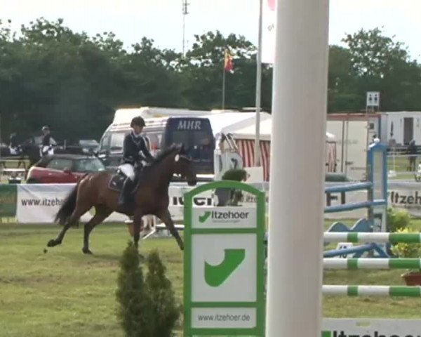 Nord-Ost-Pferd 2015