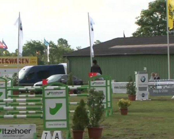 Nord-Ost-Pferd 2015