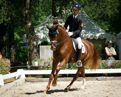 dressage horse De Facto 12 (German Sport Horse, 2016, from De Niro)