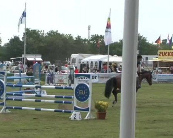 Nord-Ost-Pferd 2015