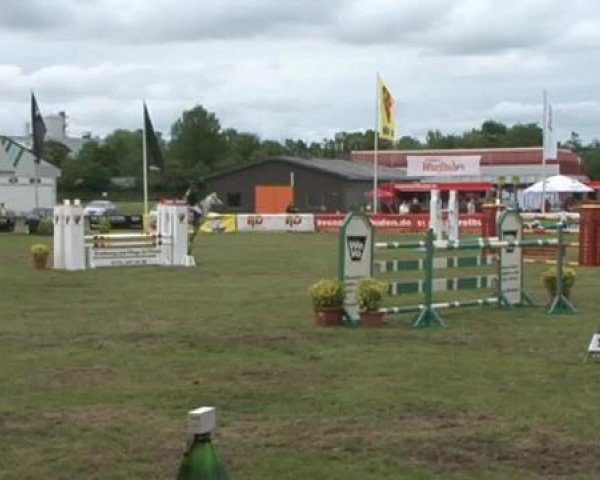 Nord-Ost-Pferd 2015