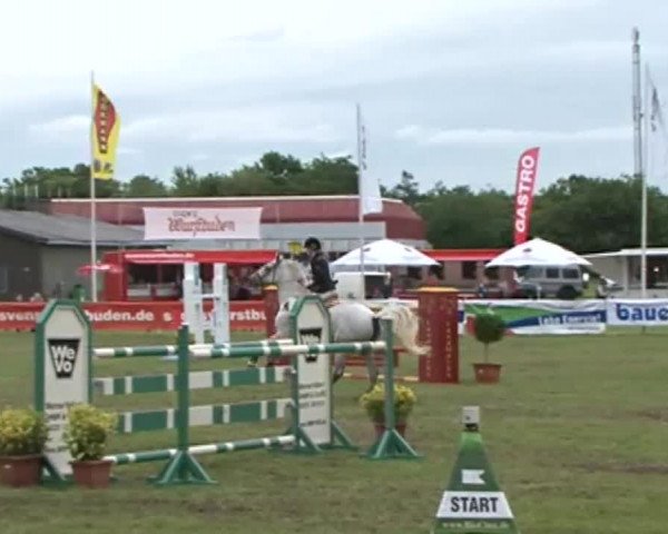 Nord-Ost-Pferd 2015