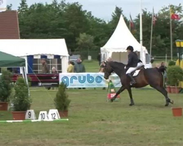 Nord-Ost-Pferd 2015