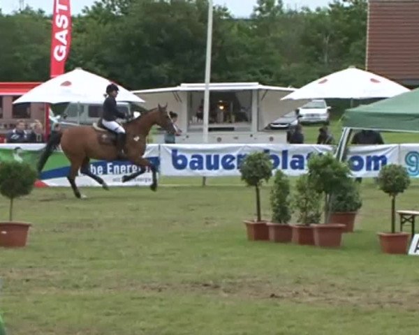 Nord-Ost-Pferd 2015
