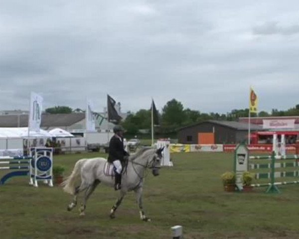 Nord-Ost-Pferd 2015