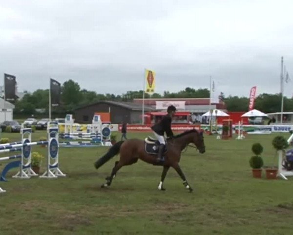 Nord-Ost-Pferd 2015